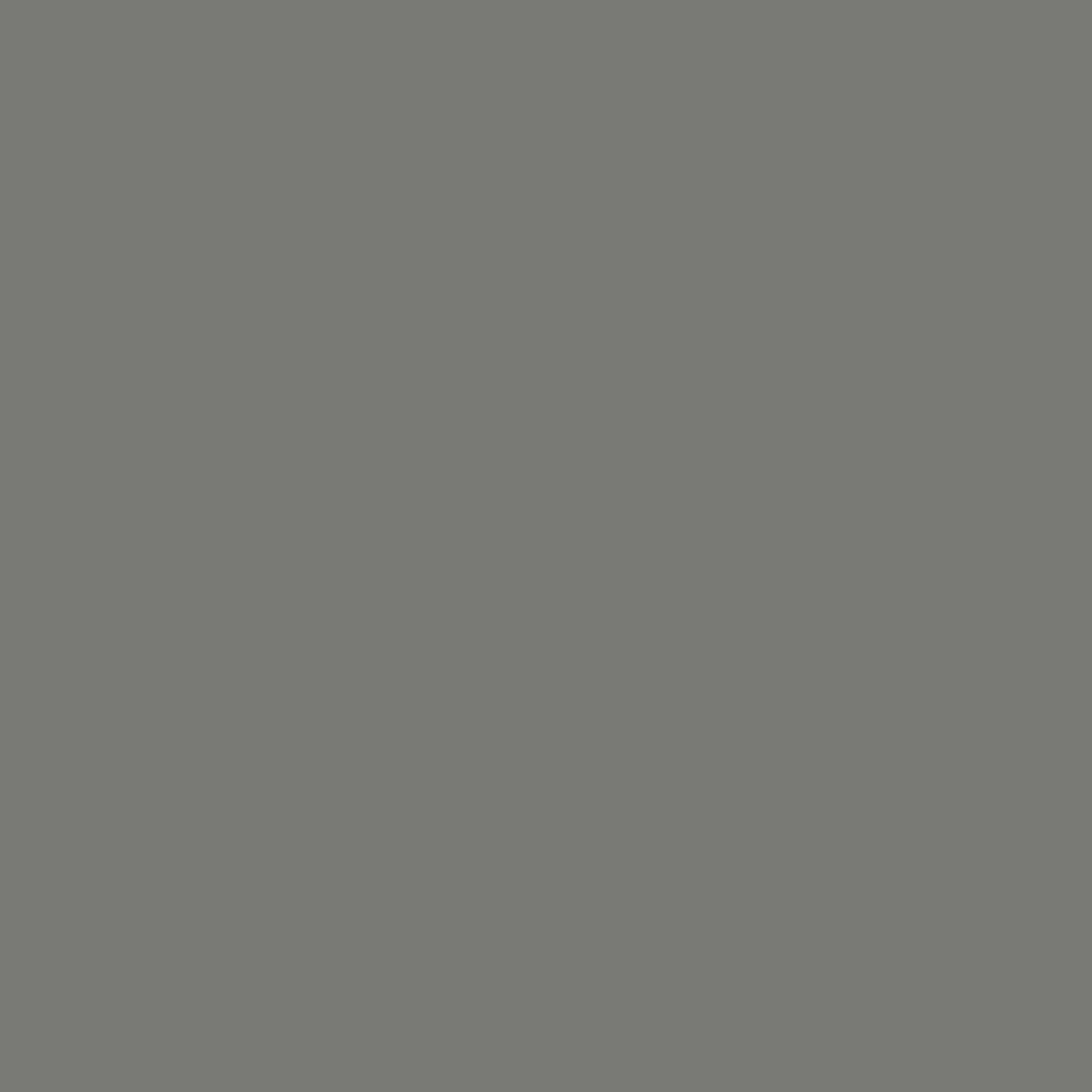 Color 260510 Gris