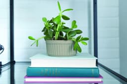 5e73c81e56064_cement1.jpg miniatura