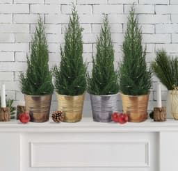 5e74e88f26296_metallic7.jpg miniatura