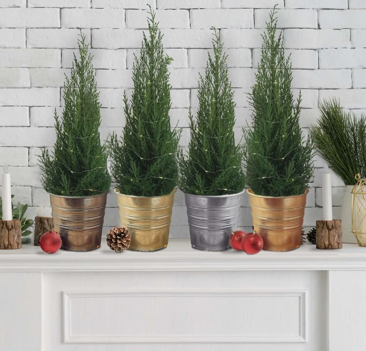 Imagen 5e74e88f26296_metallic7.jpg