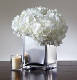 5e74ee6802ed7_mirroreffect1.jpg miniatura