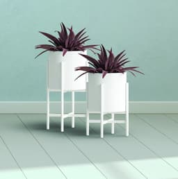 5e8608156341d_ultramattewhitebg.jpg miniatura