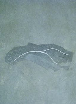 5ec2a0e9a09fe_357483fastpatch4.jpg miniatura