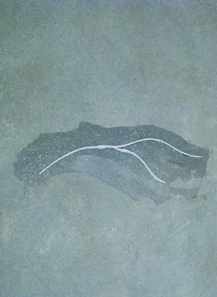 Imagen 5ec2a0e9a09fe_357483fastpatch4.jpg