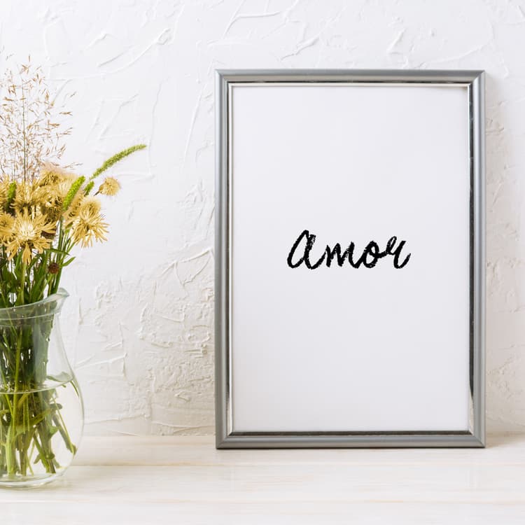 Imagen 5ed3e5041366b_metallicplata.jpg