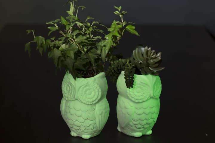 Imagen 5ed446449cad7_glowinthedark4.jpg