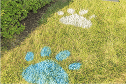 5f64b6869aa24_craft2.png miniatura