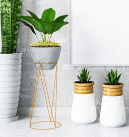 6039067be9f82_naranja.png miniatura