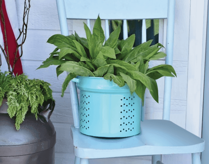 Imagen 6039076dee784_turquesa-claro.png