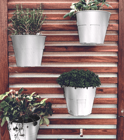 6039416355bad_niquel2.png miniatura