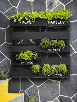 603d3bbeee235_cb-b-negro.png miniatura