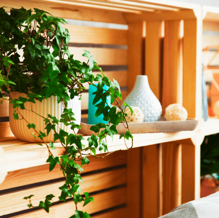 Imagen 603d45ae500a0_poliuretano.png