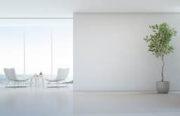 5ebee461c7a85_3577739100baseblanco4.jpg miniatura