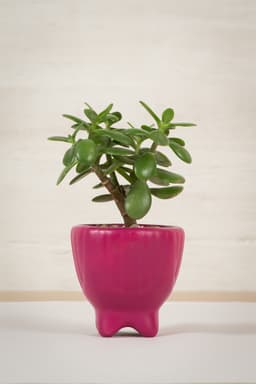 5ed3b4e50761e_ceramicadespues.jpg miniatura