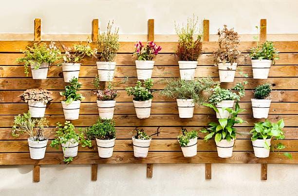 imagen de Protege tu jardín vertical