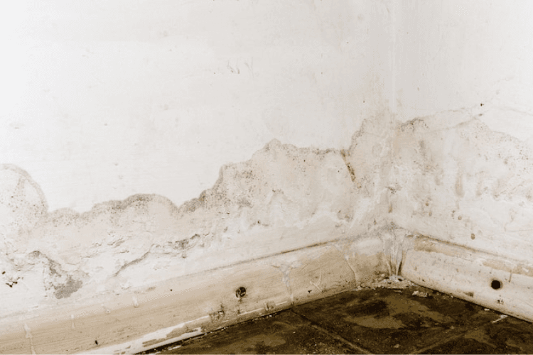 Imagen de Descubre cómo cuidar tus paredes y tus muebles de madera con las líneas Zinsser y Varathane de Rust-Oleum.