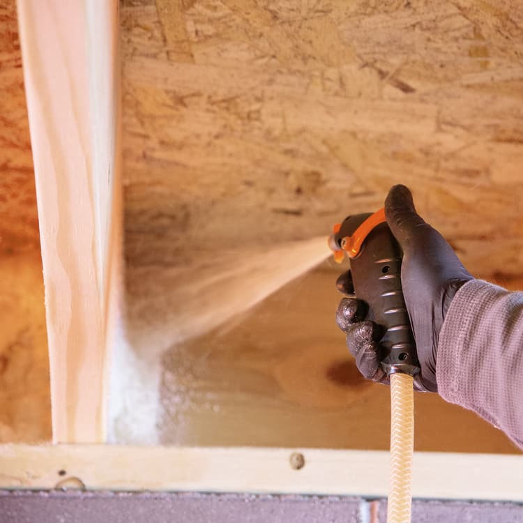 Imagen TNFP_WideSpray_AppShot534_Basement_00351_6x6.jpg