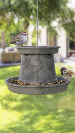 5e750461bc59d_stone7.jpg miniatura