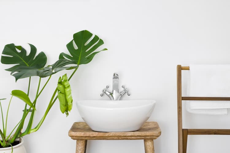 Imagen 5e750d41459f8_244166tubtile1.jpg