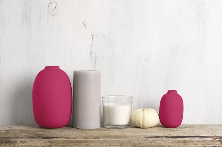 Imagen 5e7e62443a114_chalkedrosainvierno2.jpg