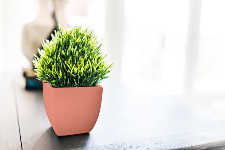 Imagen 5e7e62c8f4185_chalkedsalmonclaro3.jpg