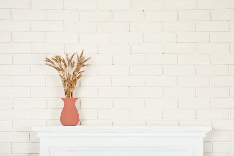 Imagen 5e7e62c91a471_chalkedsalmonclaro2.jpg