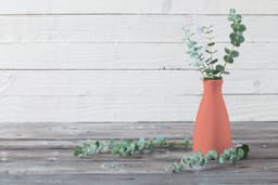 5e7e62c939ca4_chalkedsalmonclaro6.jpg miniatura