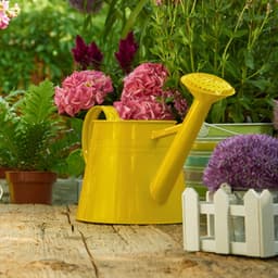 5e7e6ad587405_272080metalprotectionamarillobrillante4.jpg miniatura