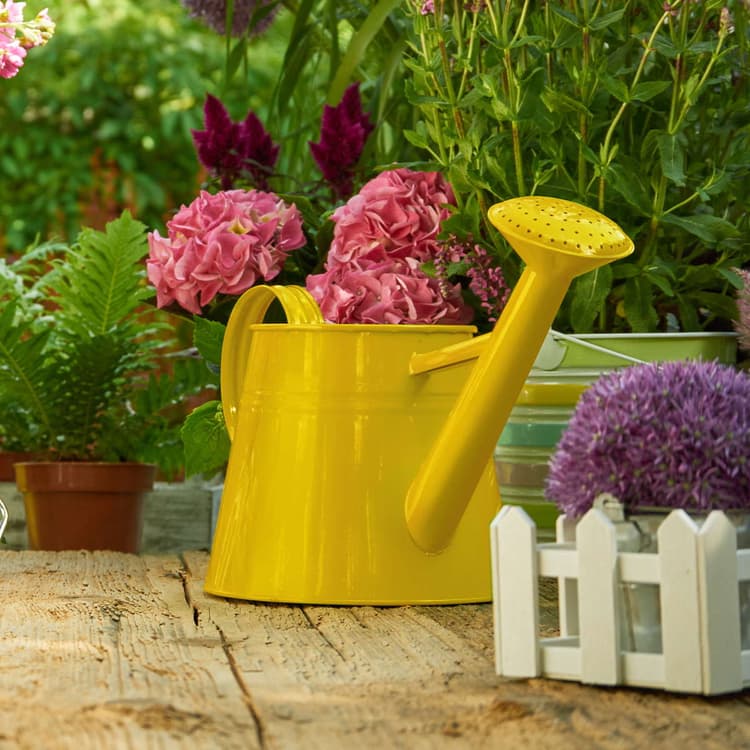 Imagen 5e7e6ad587405_272080metalprotectionamarillobrillante4.jpg