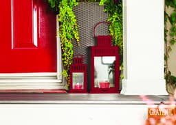 5e7e6e252120f_351539metalprotectionrojoclavelbrillante2.jpg miniatura