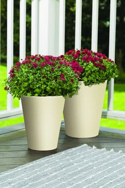 5e81f48775d17_351520metalprotectionsatinadoalmendra1.jpg miniatura