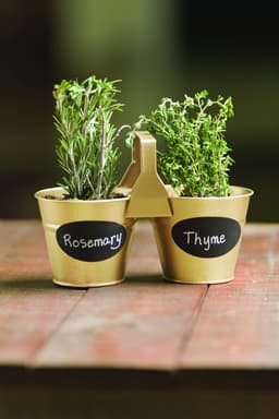 5e8204c683c20_351514metalprotectionmetalicoorochampagne1.jpg miniatura