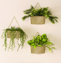 5e8204c6af96a_351514metalprotectionmetalicoorochampagne3.jpg miniatura