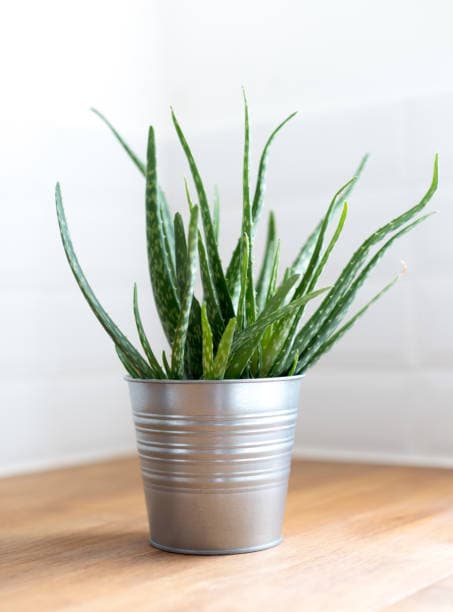 Imagen 5e8209a91dbba_272126metalprotectiongalvanizado2.jpg