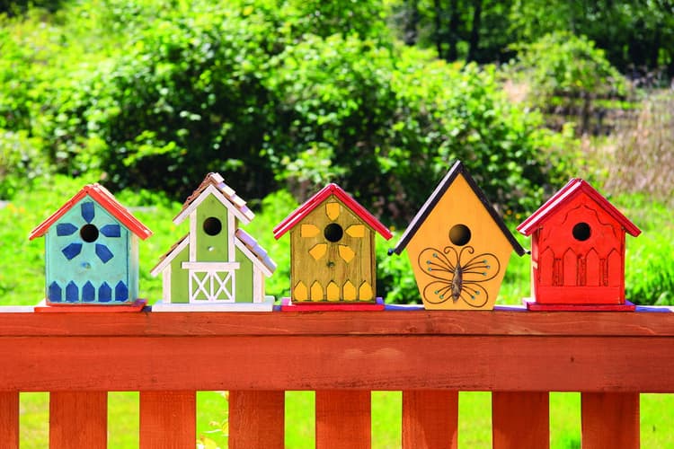 Imagen 5e9e091fe565c_birdhouseswood.jpg