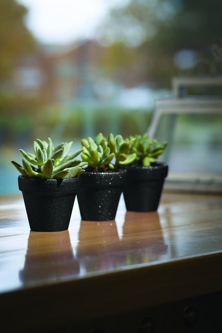 Imagen 5eb2c02a1c309_glitterblackflowerpotsfinal.jpg