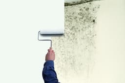 5eb2dbb3ccce2_zinssermoldkilling1.jpg miniatura