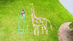 5ebd47a05164b_testorschalkpaint3.jpg miniatura