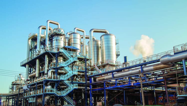 Imagen 5ebee3860c419_3574949100baseazuldelfin1.jpg