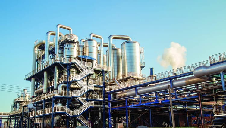 Imagen 5ebee46159ac2_3577739100baseblanco1.jpg