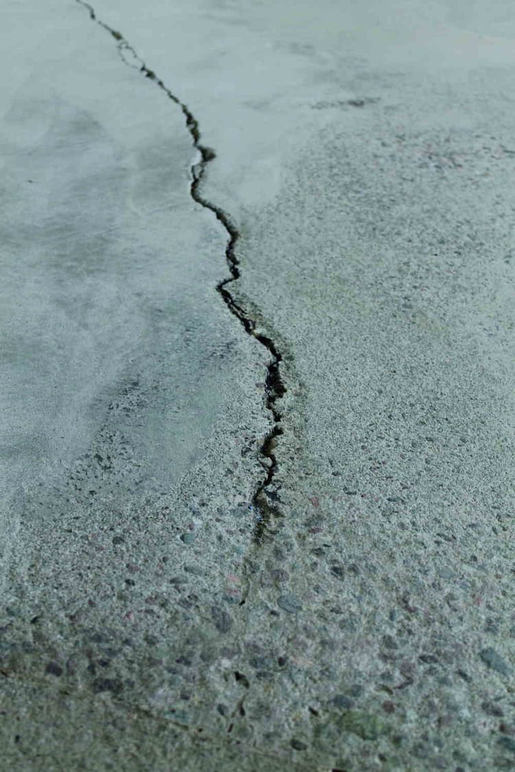 Imagen 5ec3e2d6331e3_357511instapatch1.jpg