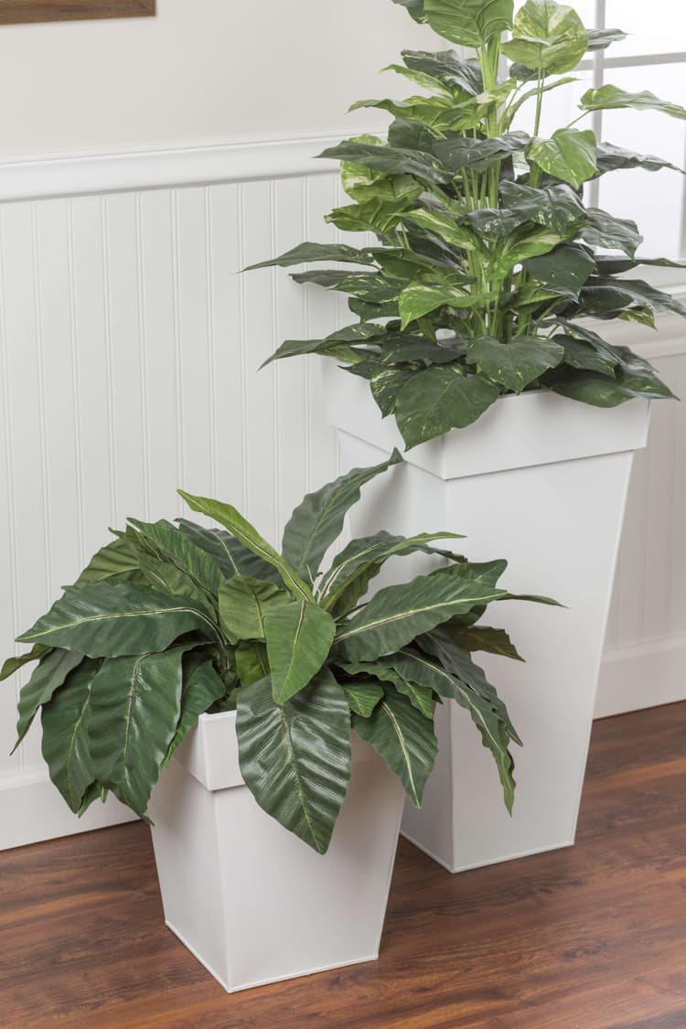 Imagen 5ed3cf04426fd_uc-blanco.jpg