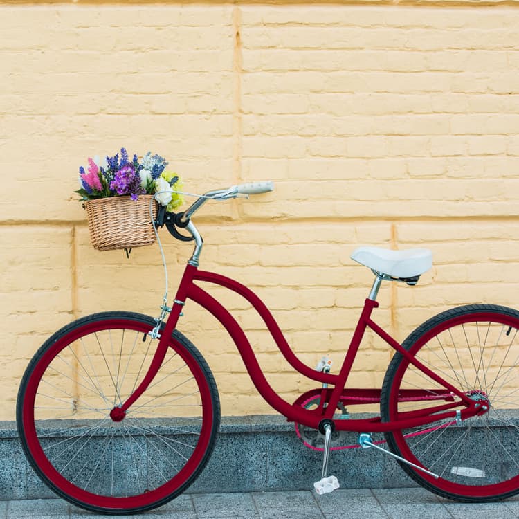 Imagen 5ed3d8270d725_metalprotectionrojoclavel.jpg