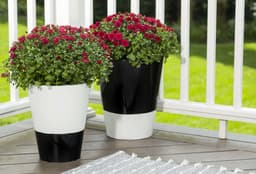 5ed3dd68e8a21_245199245196spp01890818unioutdoorflowerpotscloseupglossblackglosswhite114.jpg miniatura