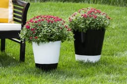 5ed3de24e1b08_245199245196spp01890818unioutdoorflowerpotsglossblackglosswhite132.jpg miniatura