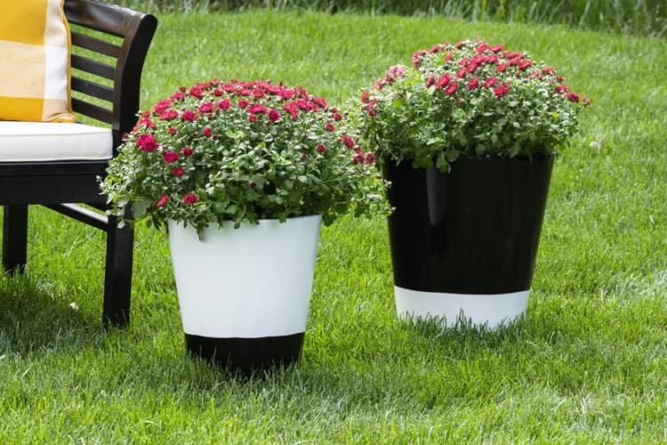 Imagen 5ed3de24e1b08_245199245196spp01890818unioutdoorflowerpotsglossblackglosswhite132.jpg