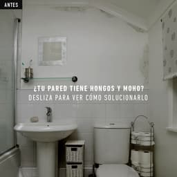 5ed415d121597_antes-moldkillingprimer322363.jpg miniatura