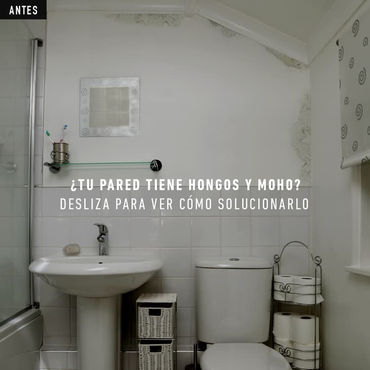 Imagen 5ed415d121597_antes-moldkillingprimer322363.jpg