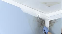 5ed41624c6780_znrmoldkillingprimerbeautyshot3.jpg miniatura