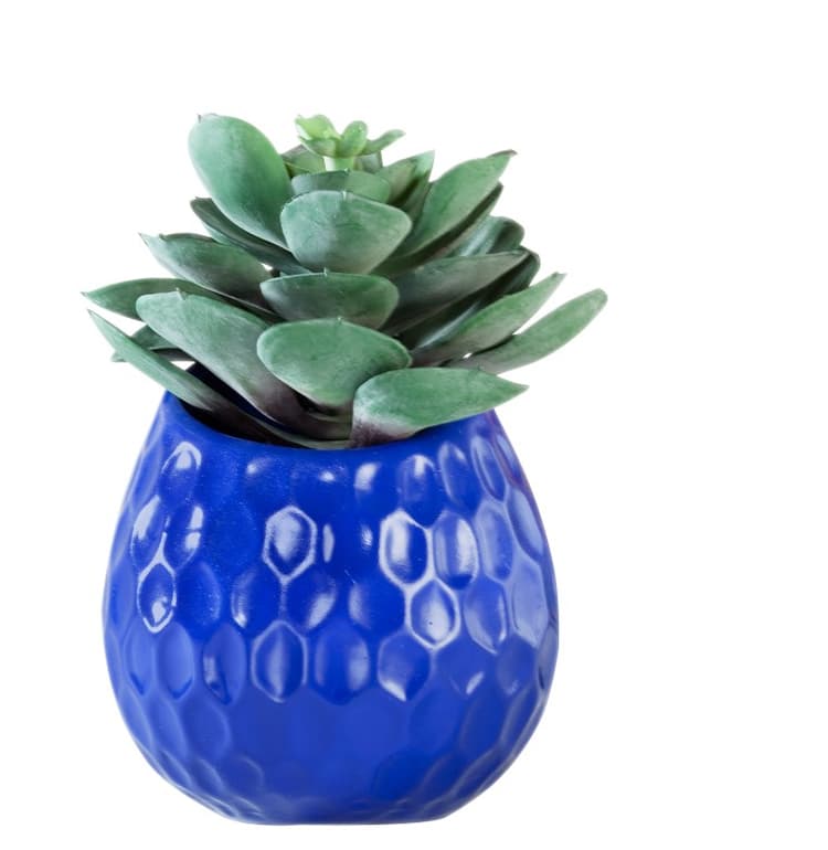 Imagen 5ed4401e9a7c1_crafthobby-testors-4.jpg